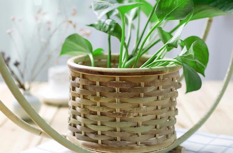 Hand-Woven Bamboo Hanging Planter Basket
